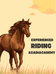 Maple stables experienced riders