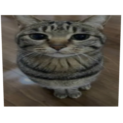 BIG CAT thumbnail