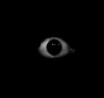 Endless Eyes