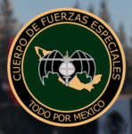 MX | Cuerpo de Fuerzas Especialés