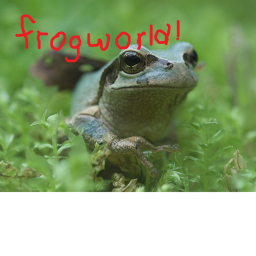 frogworld!