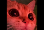 Zoe5678