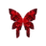 CLOVER | SCHOOLRP