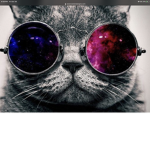 Dream:D