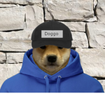 THE DOGGO PPL :>