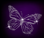 ~<3 DIAMOND & ~<3 BUTTERFLY<3 CHEER<3