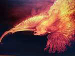 Phoenix Squad Fan Group