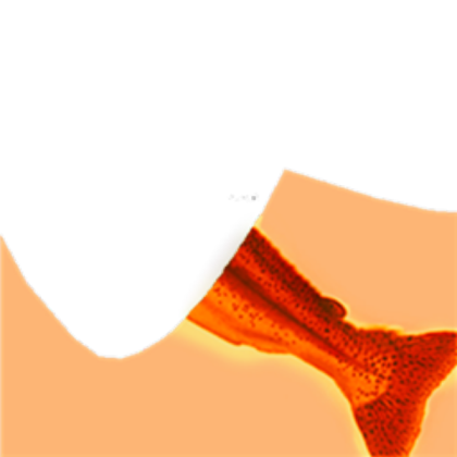 Mermaid tail texture Roblox decal