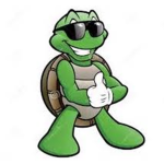 Tim's Turtle Shop