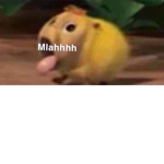 meow4uss