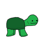 bobby the turtle fan club