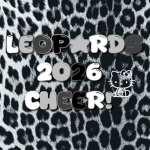 ANGEL CHEER TEAMM