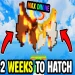 MEGA EGG SANDBOX! X999Qi icon