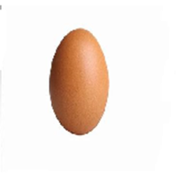 EGG icon