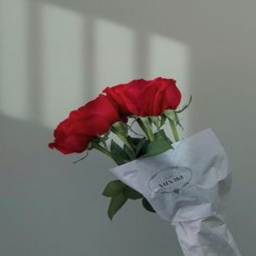 𝓋𝒶𝓁𝑒𝓃𝓉𝒾𝓃𝑒𝓈