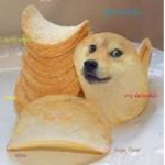 Le EPIC doge clan