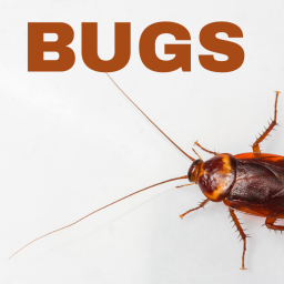BUGS