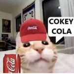 The Cola Twins