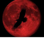 Blood Moon (Ro-Ghoul)