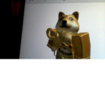 DOGE g