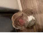 BarbzxKens