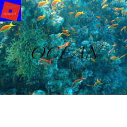 The way of roblox ocean