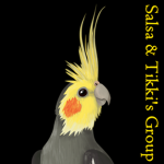 Salsa And Tikki's Group