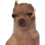 Satoshi-Gekkouga