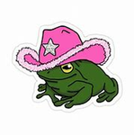 The Funky Frogs!