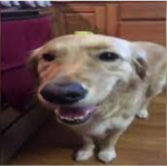 Butter Bastion