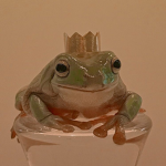 ~ Mushroom Toad ~