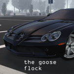 The goose flock