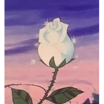 ~Lillies flowers~