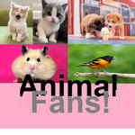 Animal Fans !