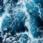 Deep Blue Sea Athletics