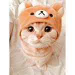 LoveYoutube Group (: