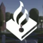 NL Nederlandse Politie LWD