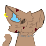 Cattoz club!!