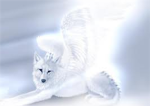 Spirit Wolf Clan