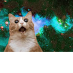 KillerCat gaming Squad