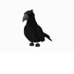 I like crows