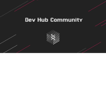 Dev Hub Community