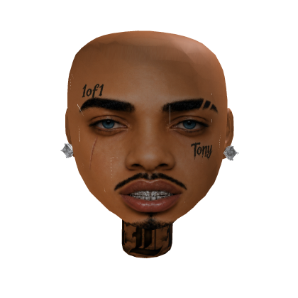 Tony Custom Mesh
