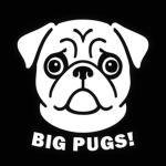 Big Pugs!