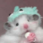 Lil friend/rats