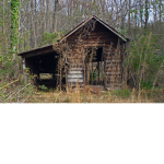 The Totally Not Haunted Shed