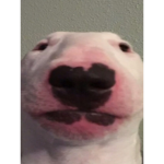 Hello my name is William