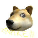 !DOGE EMPIRE!