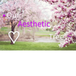 • Our Aesthetic Tree ~