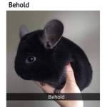 The Beholding